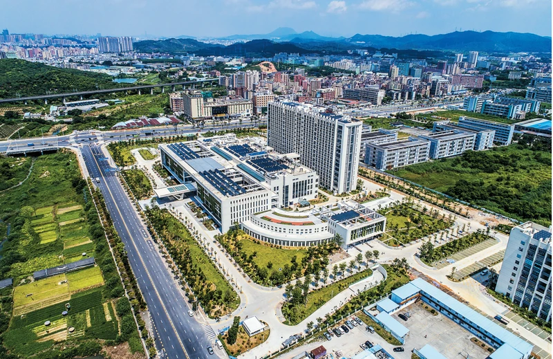 专业篮球教练如何指导球员提高专注力_2
